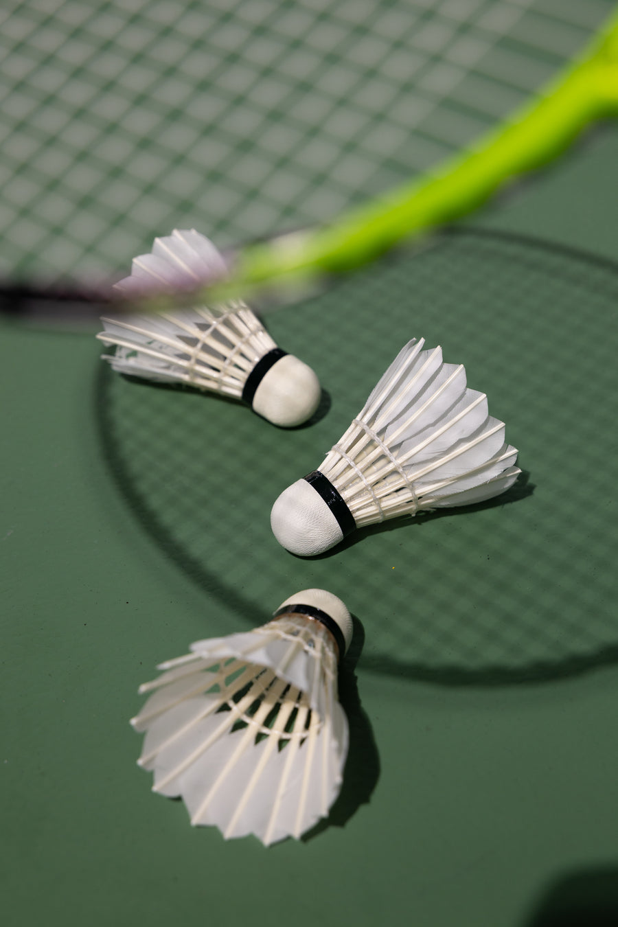 Two badminton athletes holding rackets